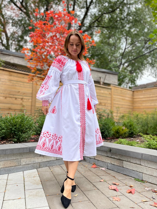 The White Dress with Red Embroidery